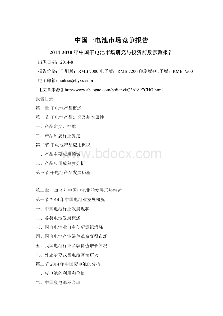 中国干电池市场竞争报告Word格式.docx