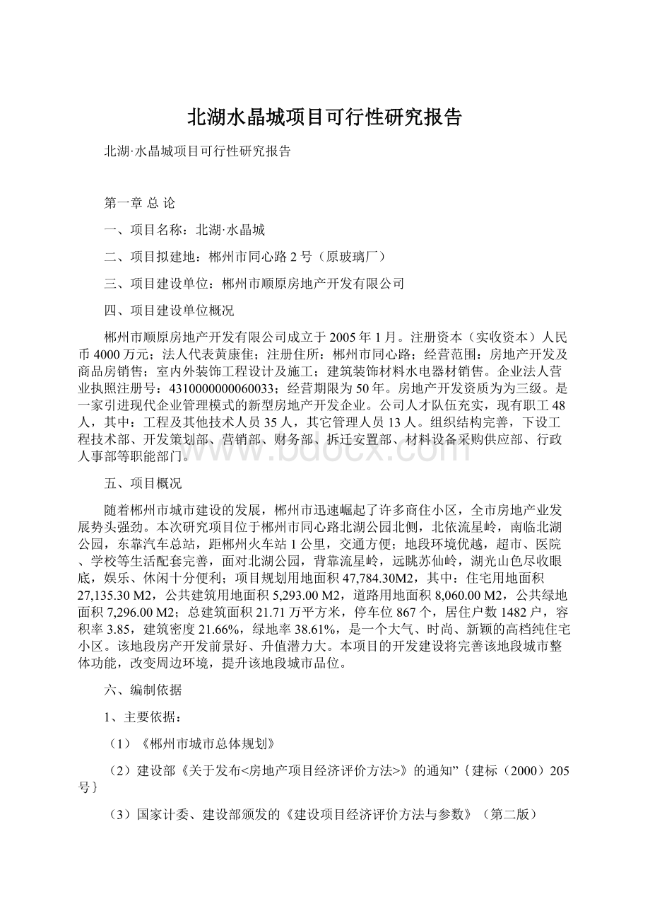 北湖水晶城项目可行性研究报告Word文档格式.docx