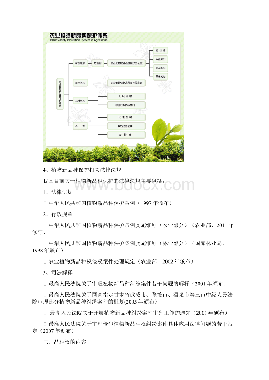 植物新品种的法律保护与投资案例分析.docx_第2页