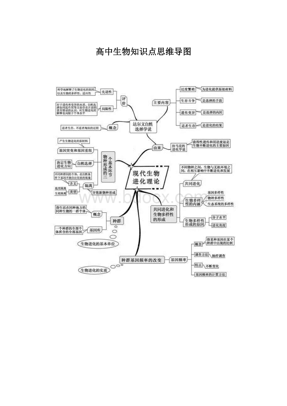 高中生物知识点思维导图文档格式.docx_第1页