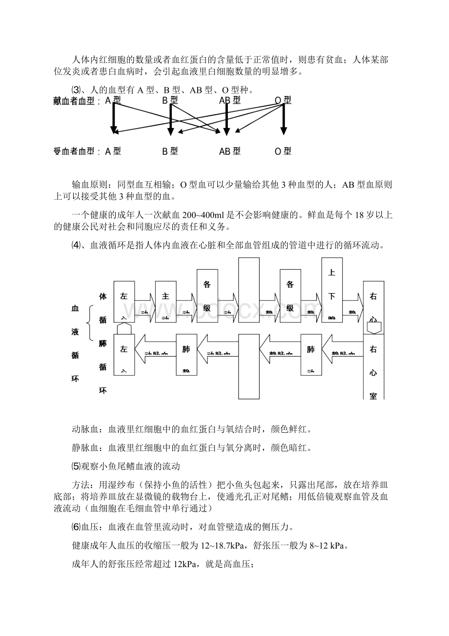 苏科版八年级上册生物复习提纲.docx_第3页