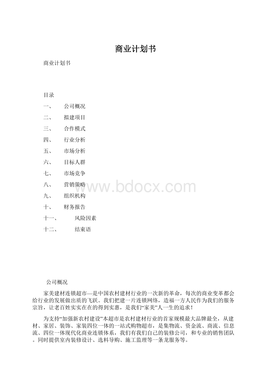 商业计划书Word格式文档下载.docx