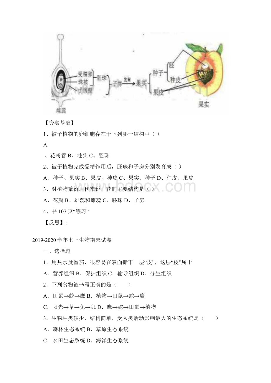 七年级生物上册323开花和结果研学案.docx_第2页