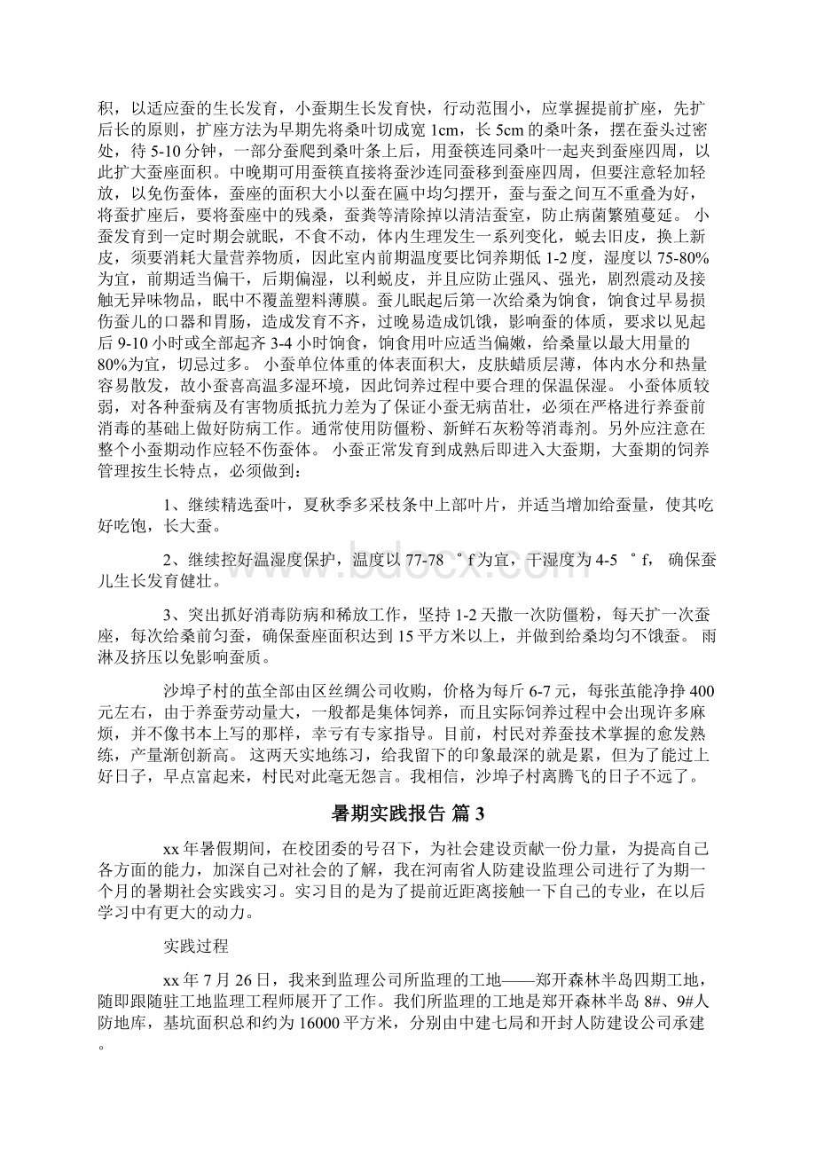 关于暑期实践报告合集5篇Word文档格式.docx_第3页