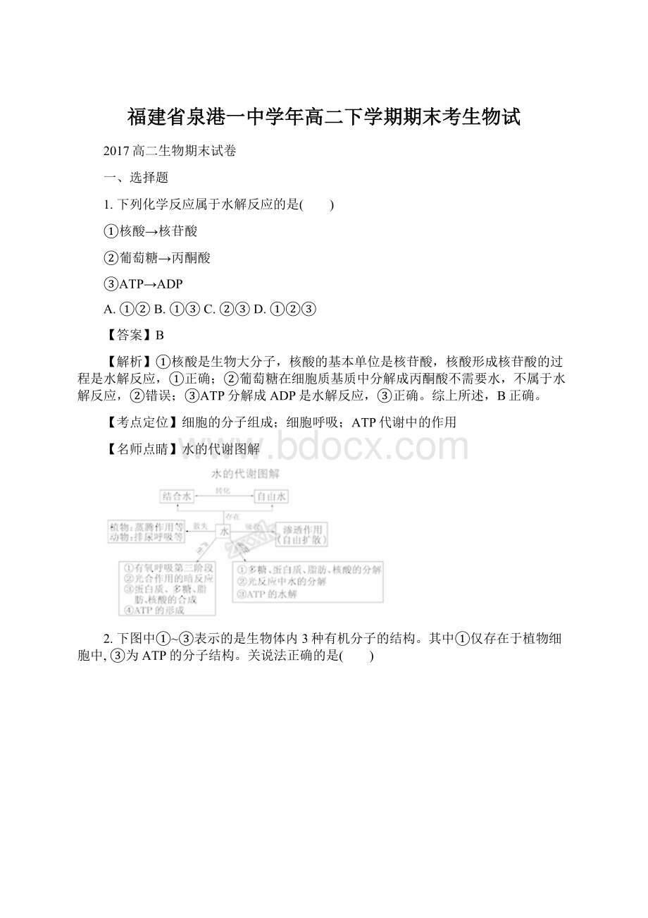 福建省泉港一中学年高二下学期期末考生物试Word文件下载.docx_第1页