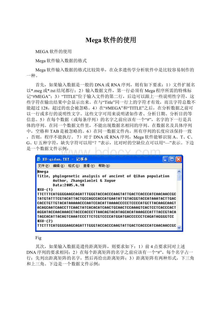 Mega软件的使用.docx_第1页