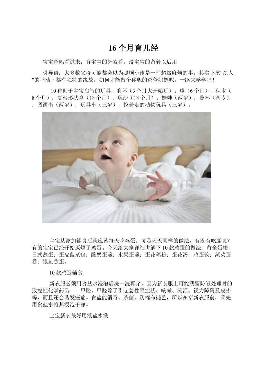 16个月育儿经Word文件下载.docx