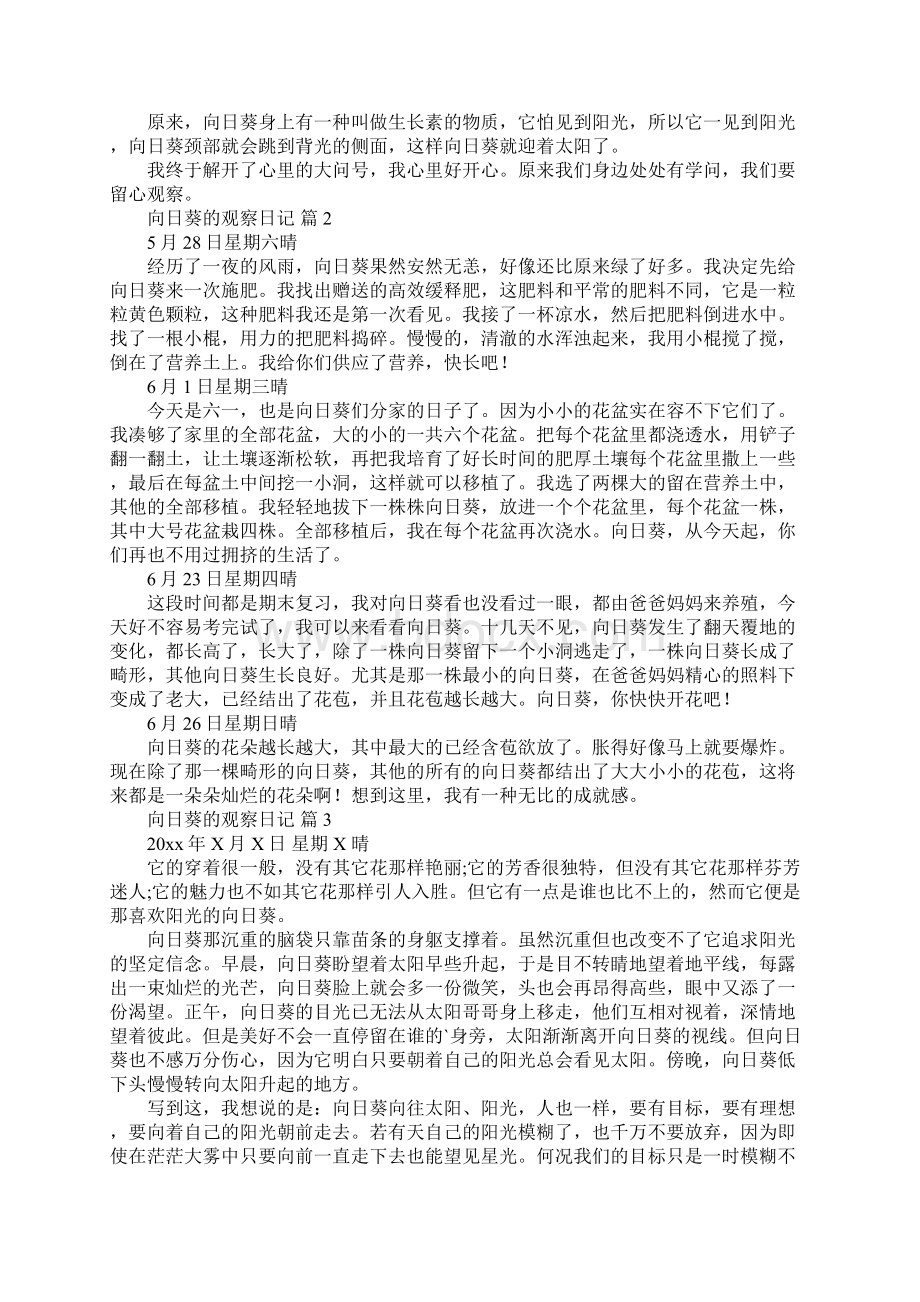 向日葵的观察日记Word格式文档下载.docx_第2页