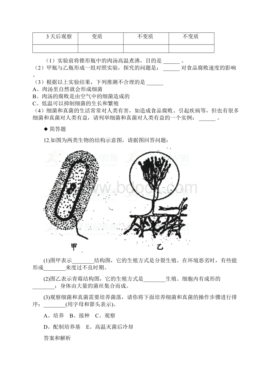 八年级生物上册541细菌和真菌的分布练习新版Word文档格式.docx_第3页