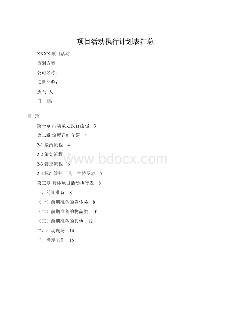 项目活动执行计划表汇总.docx