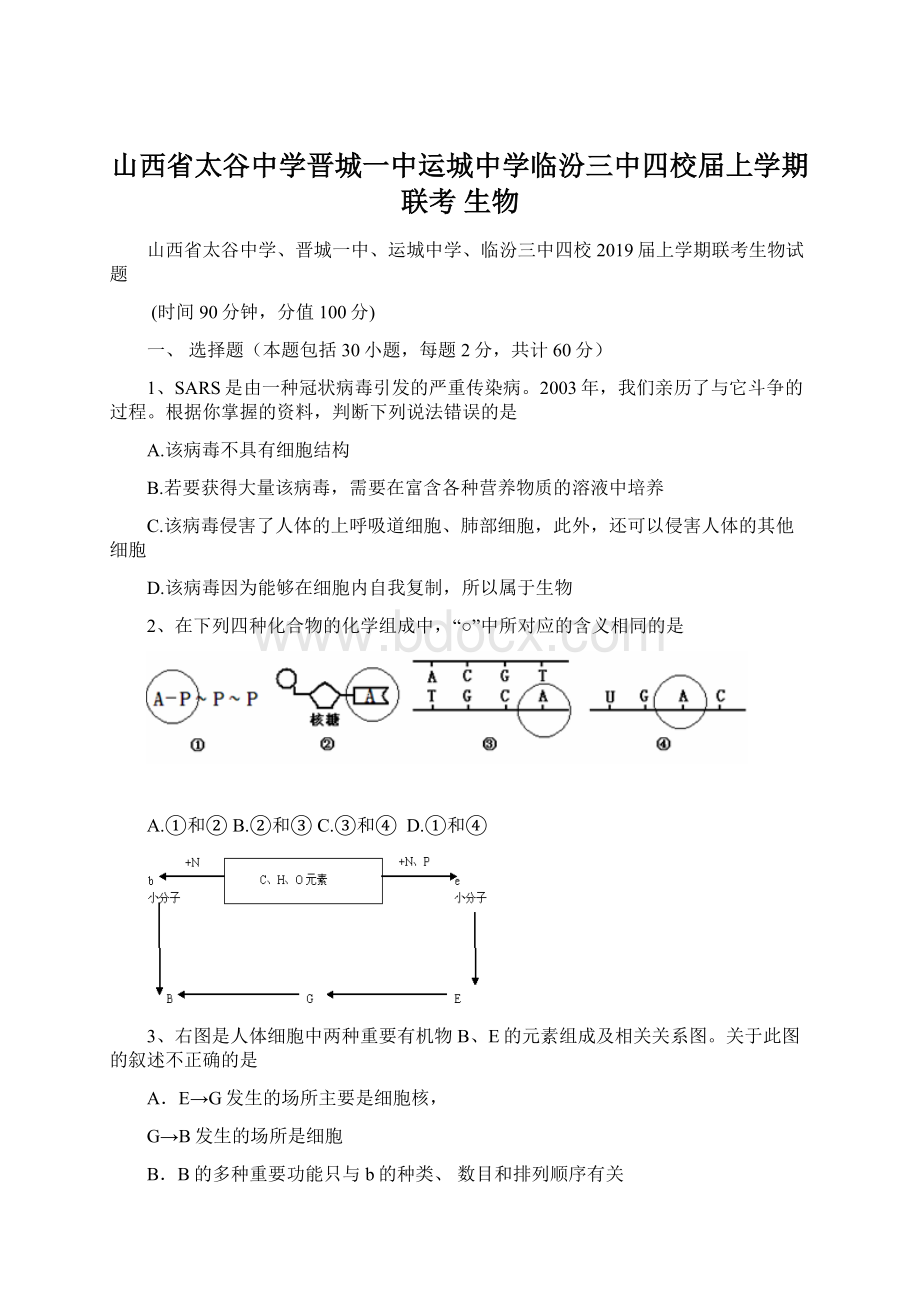 山西省太谷中学晋城一中运城中学临汾三中四校届上学期联考 生物Word下载.docx_第1页