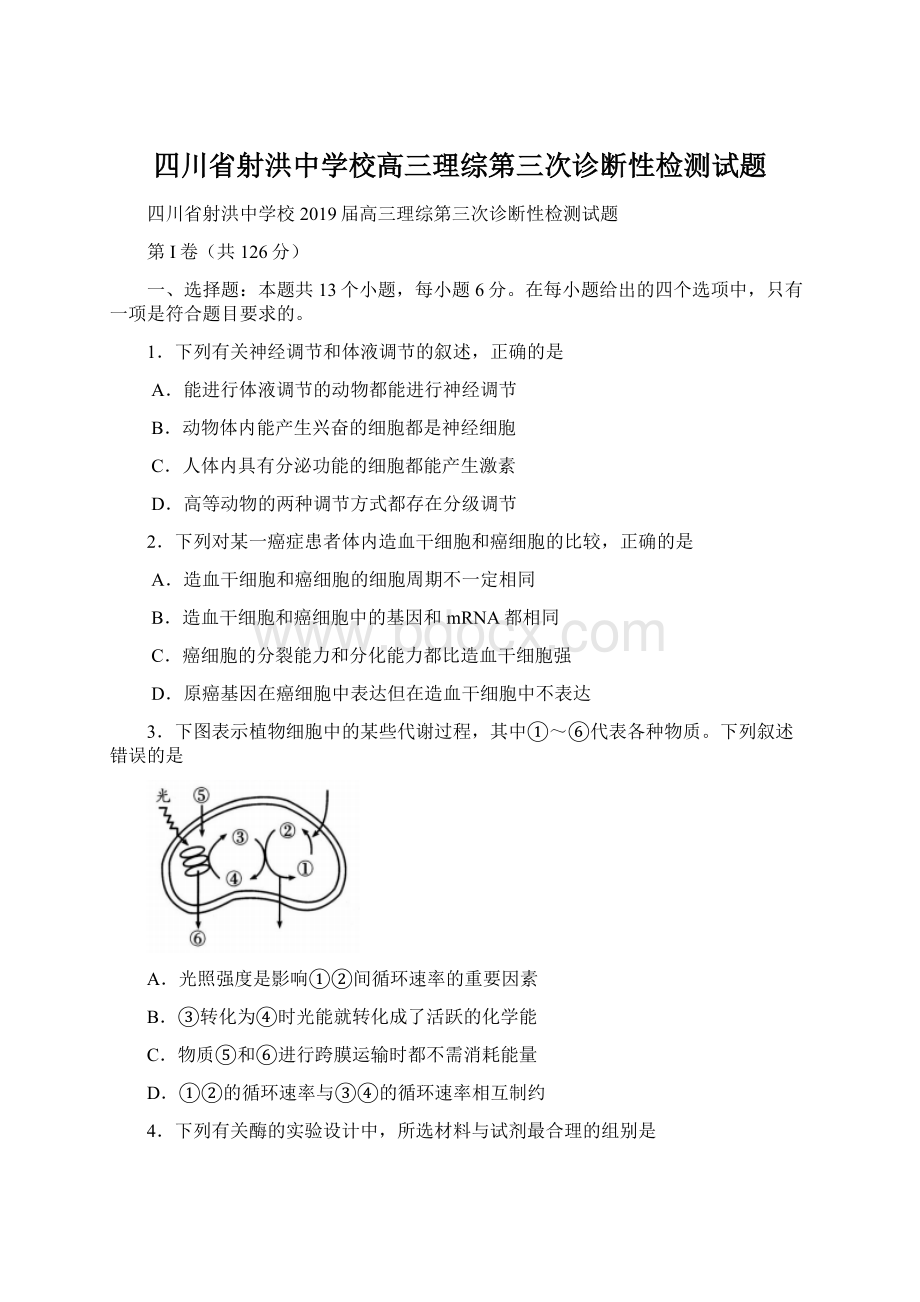 四川省射洪中学校高三理综第三次诊断性检测试题Word文件下载.docx