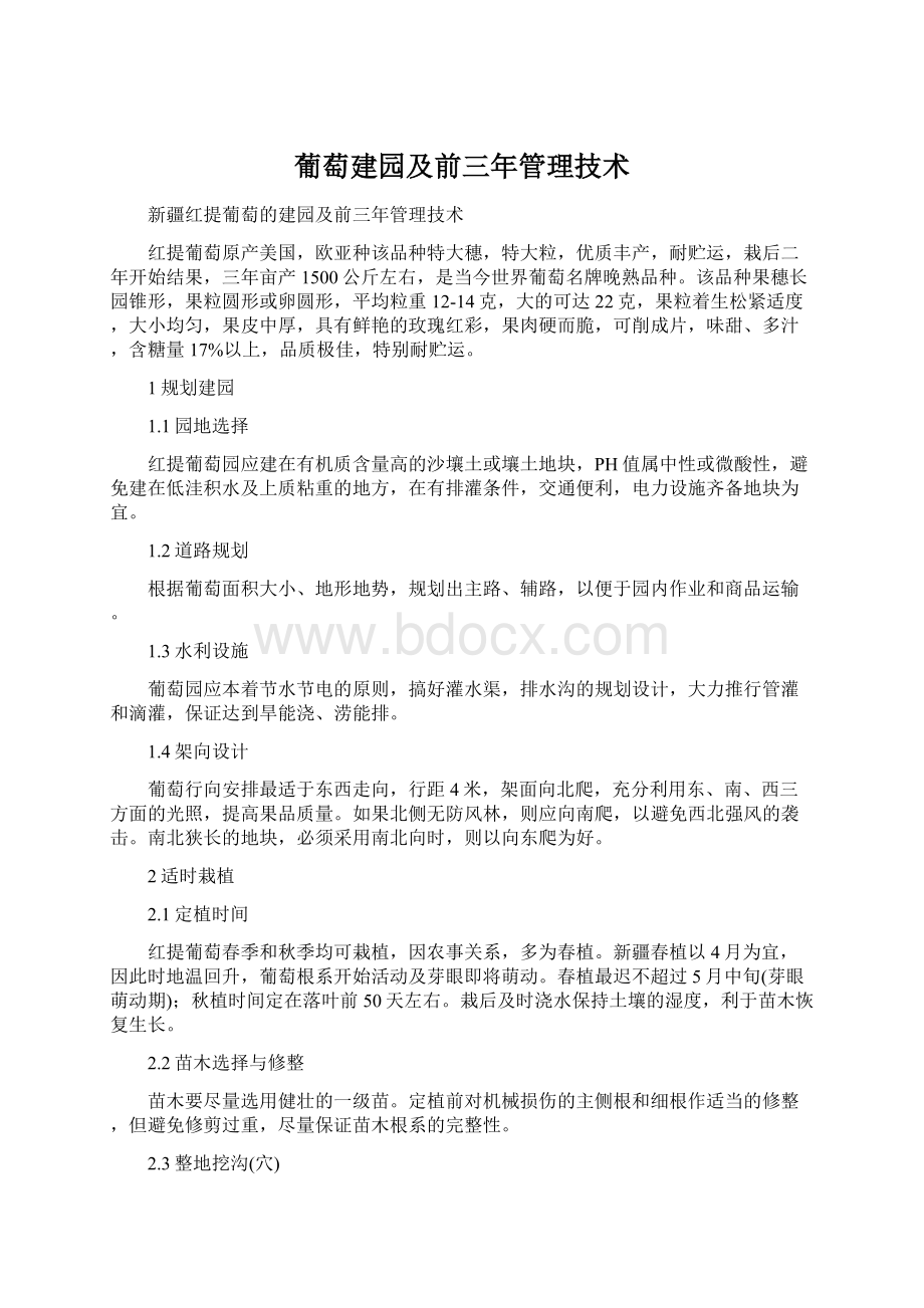 葡萄建园及前三年管理技术Word格式文档下载.docx_第1页