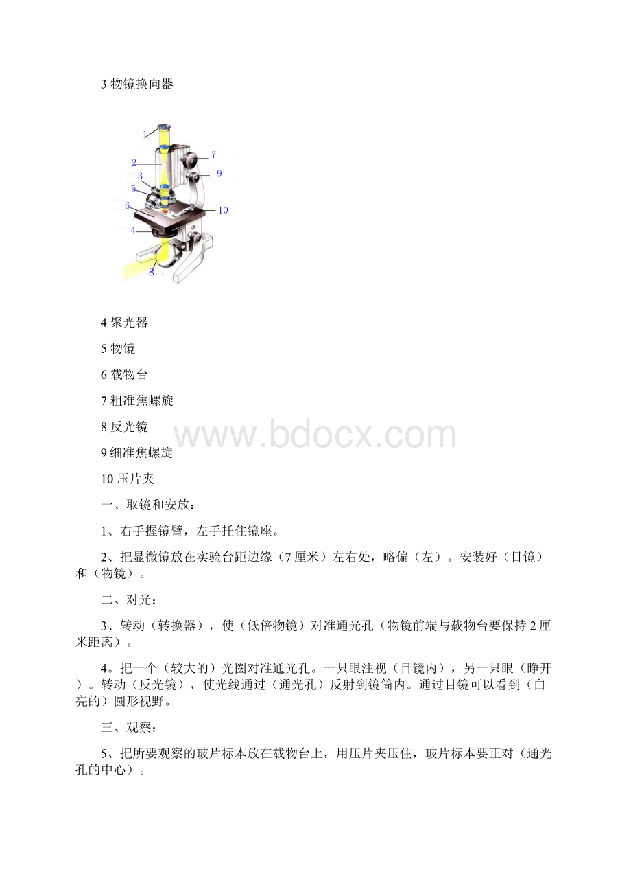 初中生物知识点按章节汇总16页1.docx_第3页