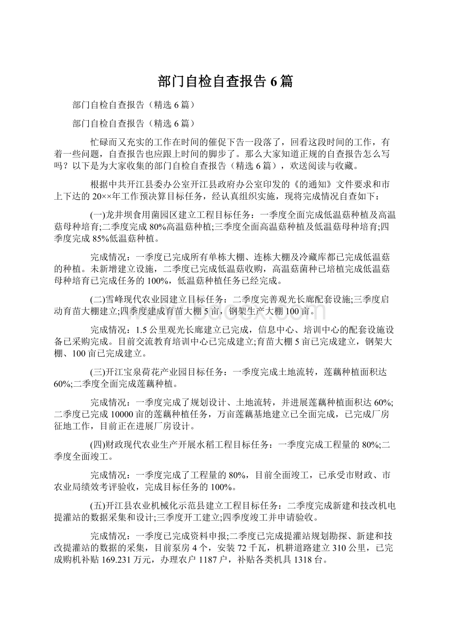 部门自检自查报告6篇Word文档下载推荐.docx_第1页