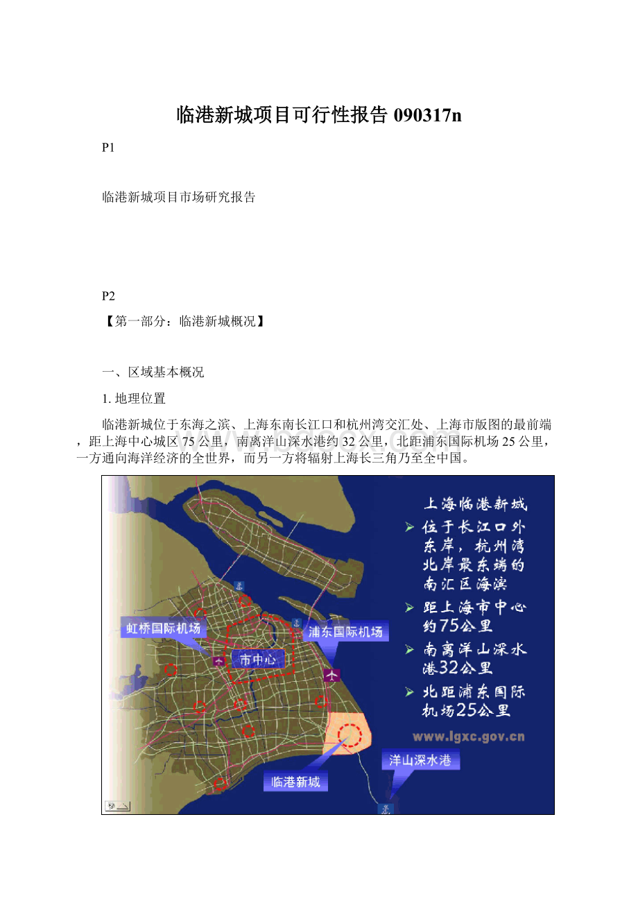 临港新城项目可行性报告090317n.docx_第1页