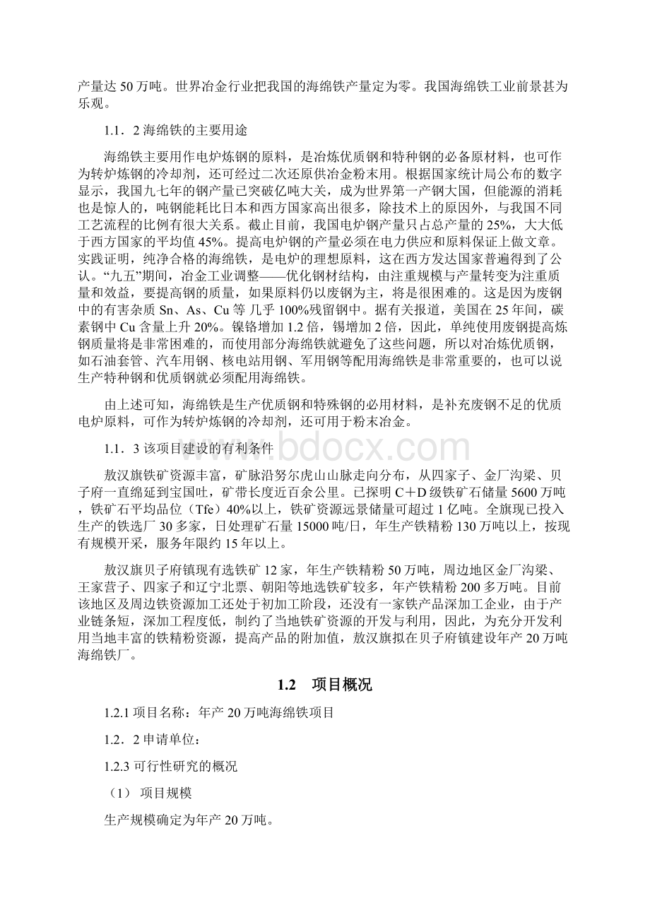 项目可行性报告文档格式.docx_第2页