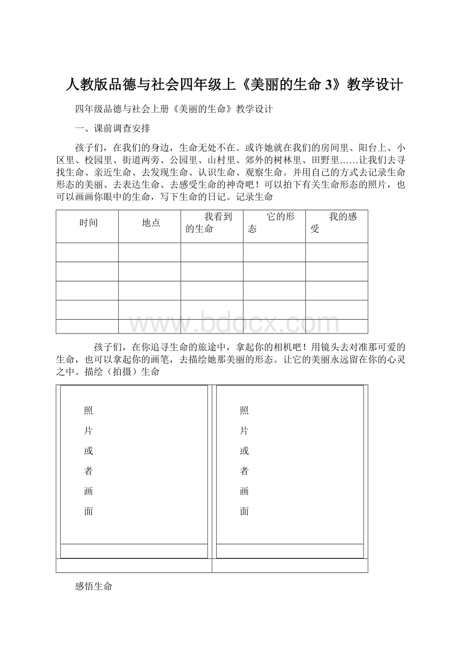 人教版品德与社会四年级上《美丽的生命3》教学设计.docx