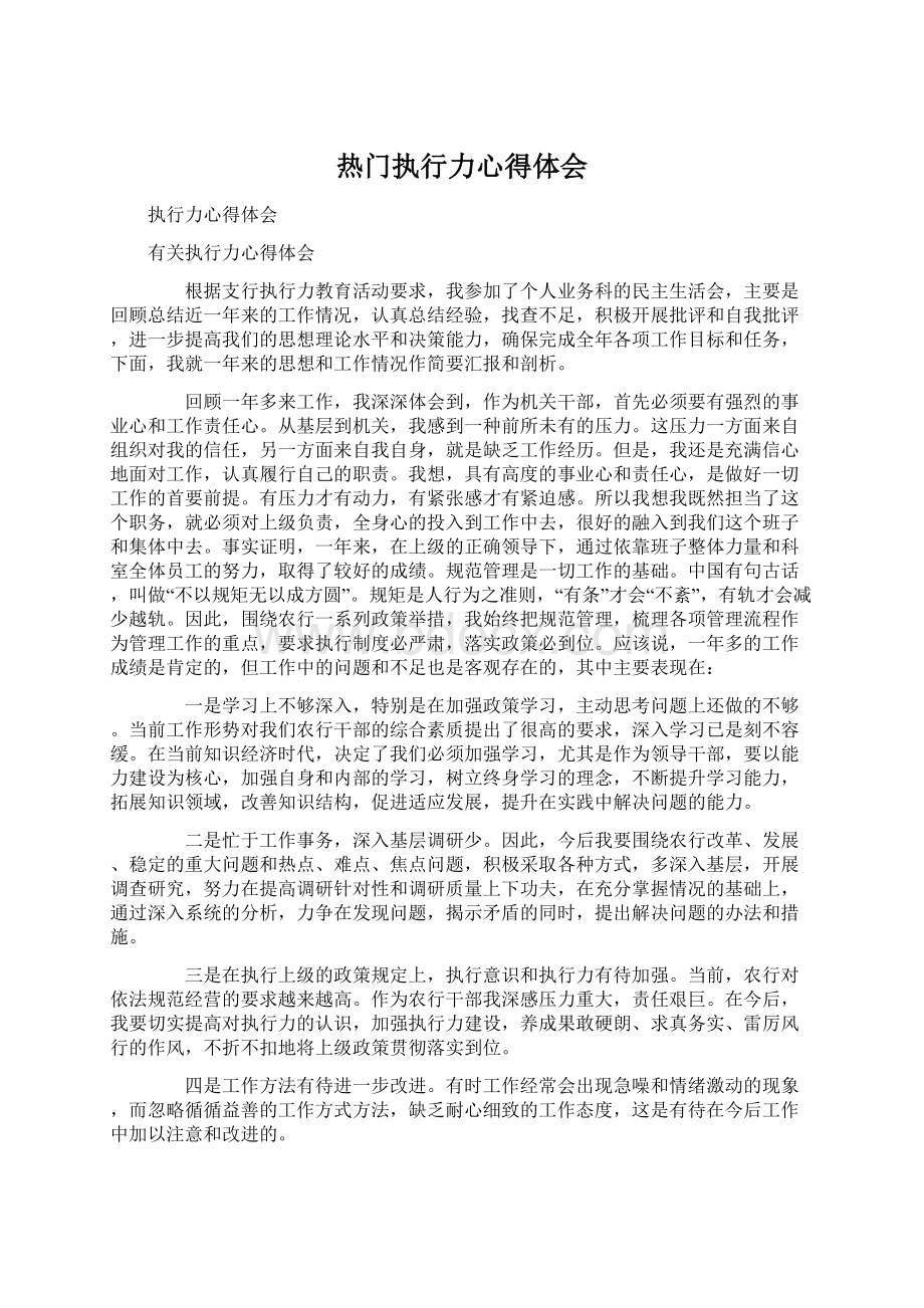 热门执行力心得体会.docx