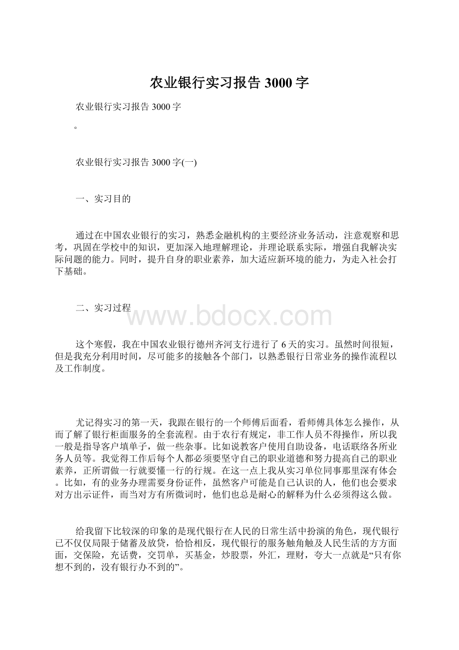 农业银行实习报告3000字Word下载.docx