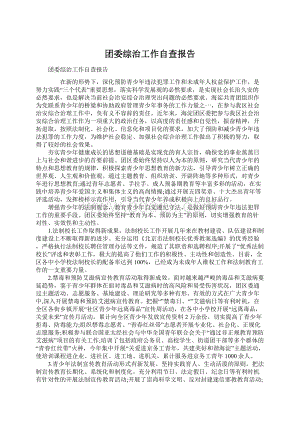 团委综治工作自查报告Word文档格式.docx