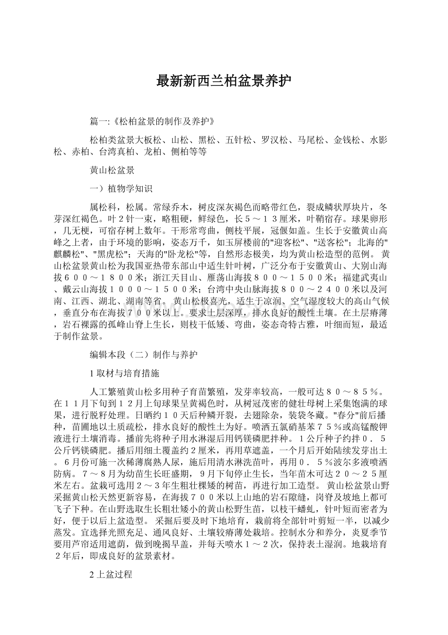 最新新西兰柏盆景养护.docx