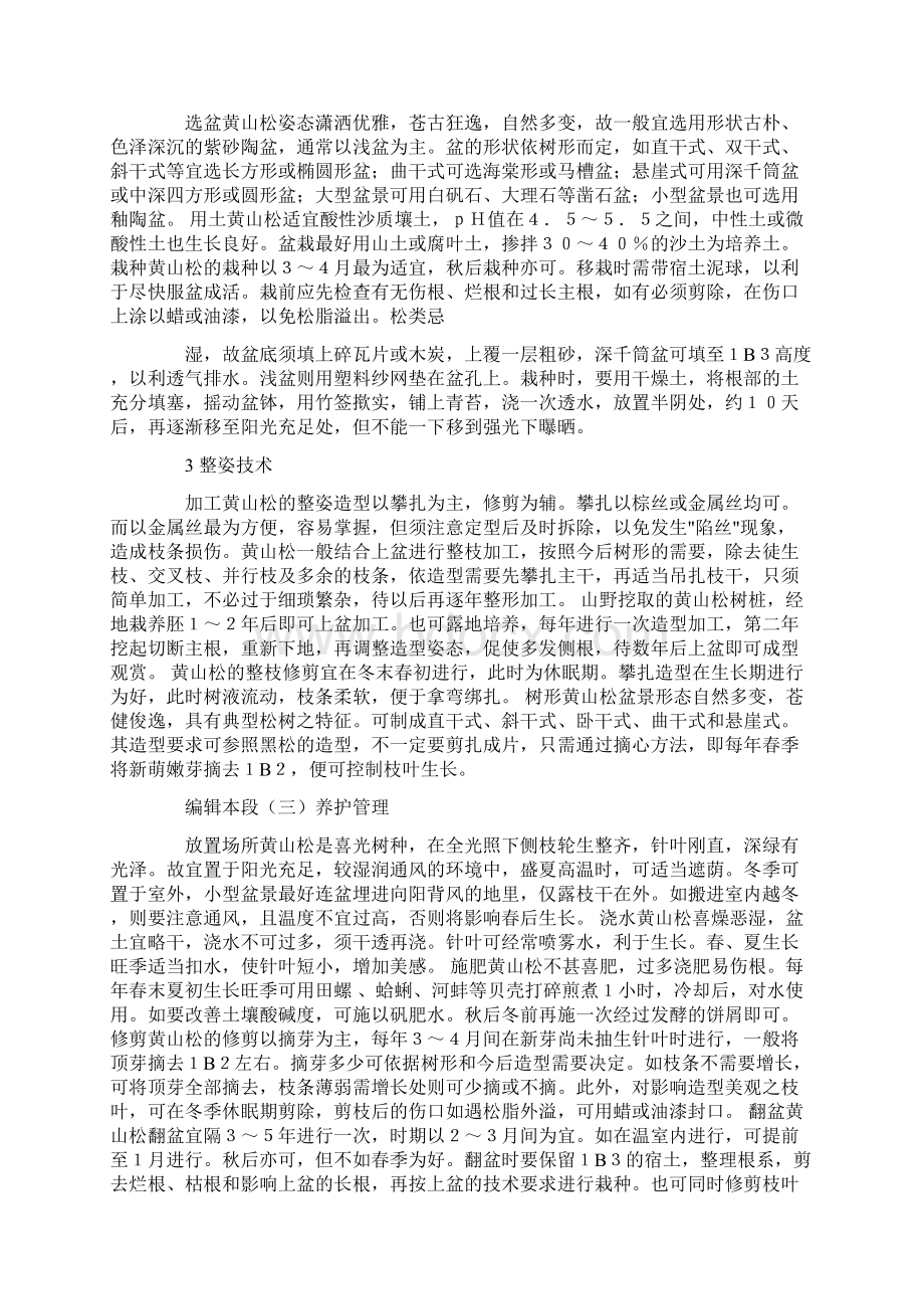 最新新西兰柏盆景养护.docx_第2页