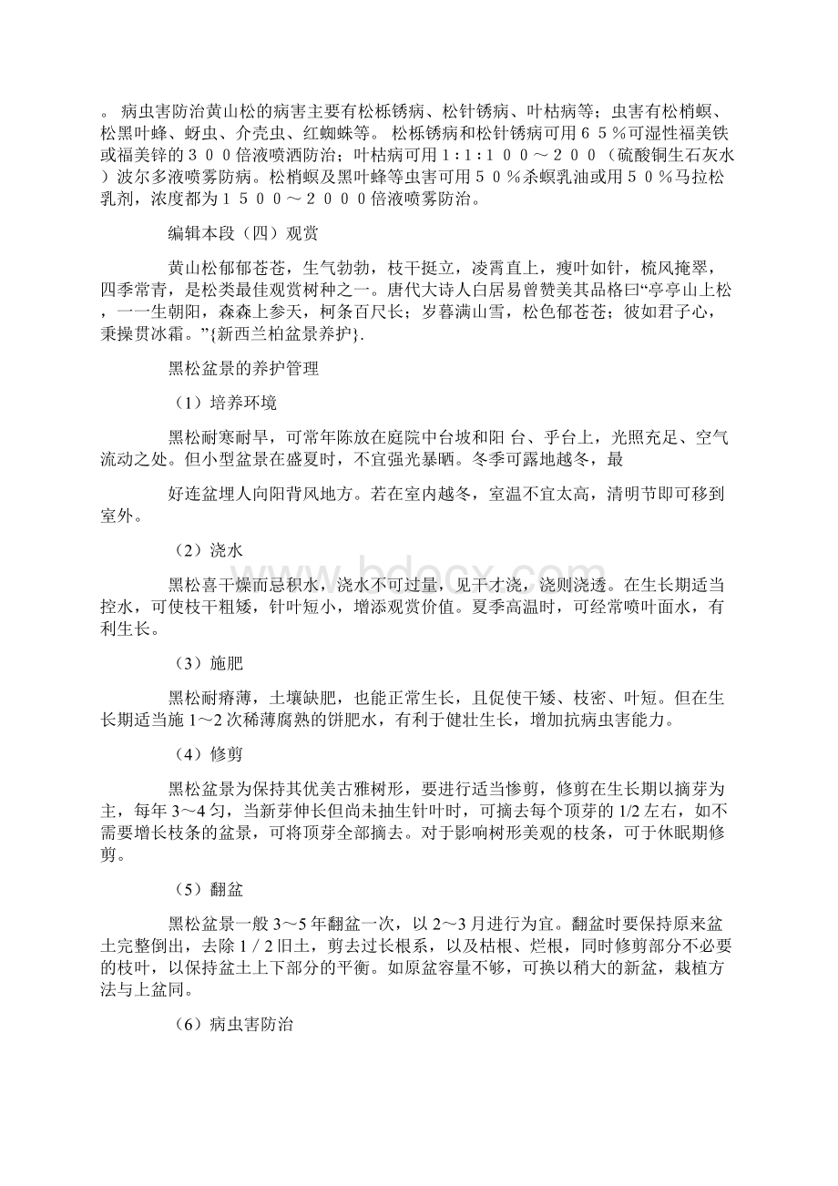 最新新西兰柏盆景养护.docx_第3页