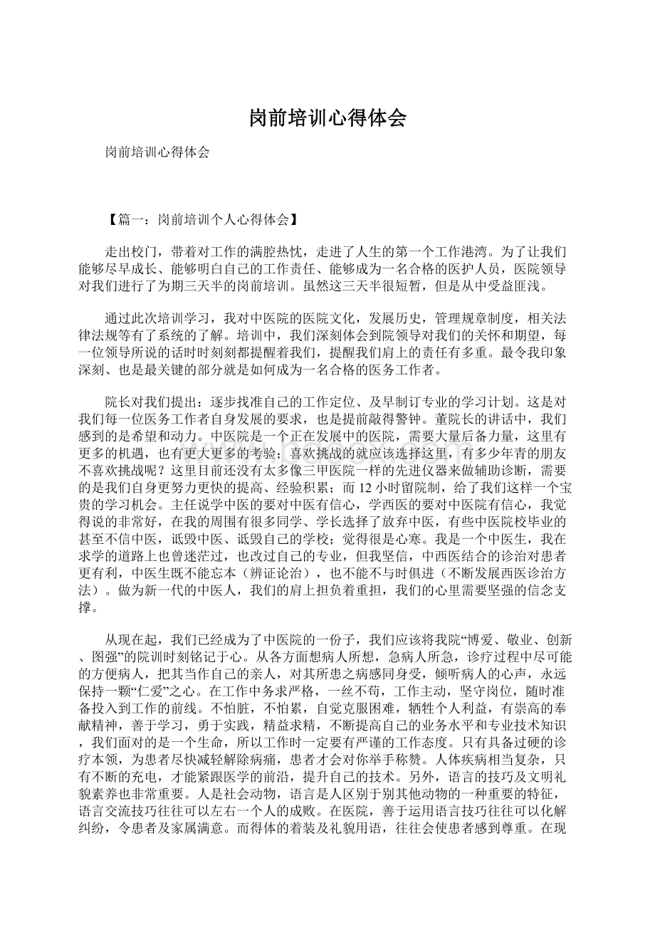 岗前培训心得体会Word格式文档下载.docx