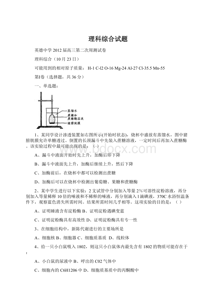 理科综合试题Word文档格式.docx