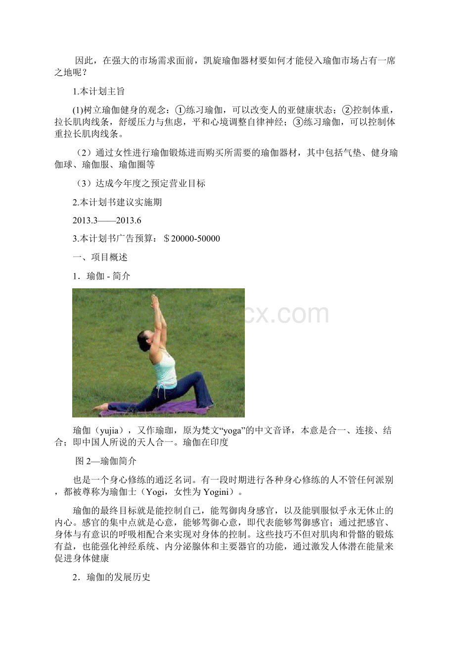 凯旋瑜伽器材网络策划方案.docx_第2页