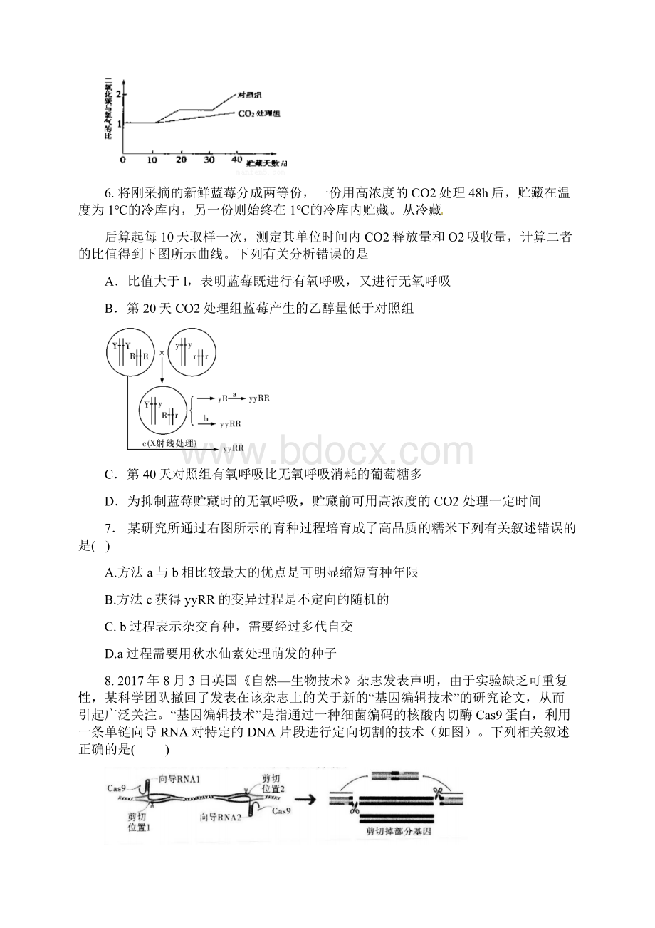 四川成都外国语学院届高三理科生物月考试题副本Word下载.docx_第2页