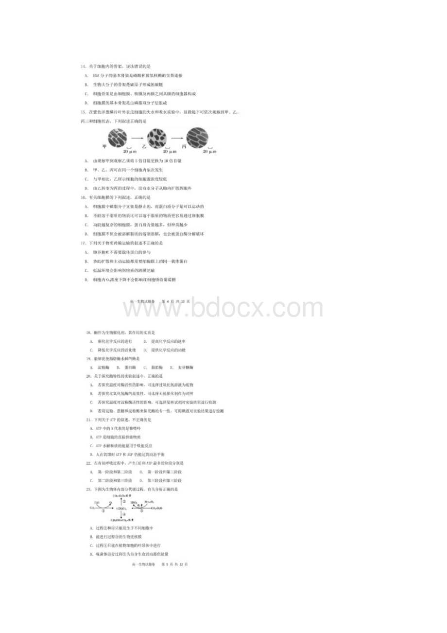 辽宁省营口市学年高一生物上学期期末联考试题扫描版Word文档格式.docx_第3页