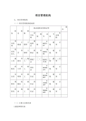 项目管理机构.docx