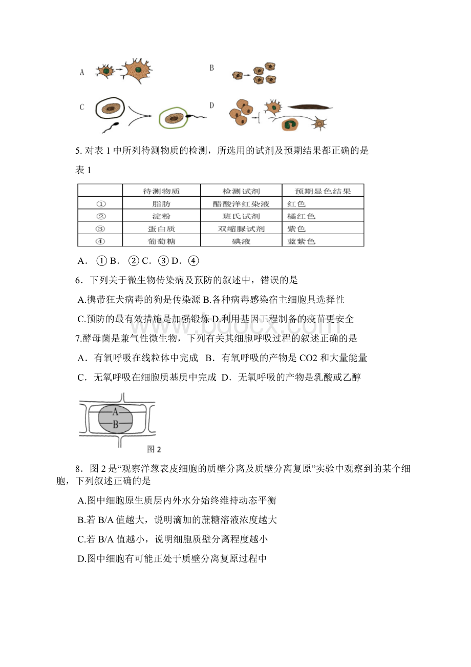 长宁区高二高三第一学期期末一模学科质量检测生物试题及答案精品.docx_第2页