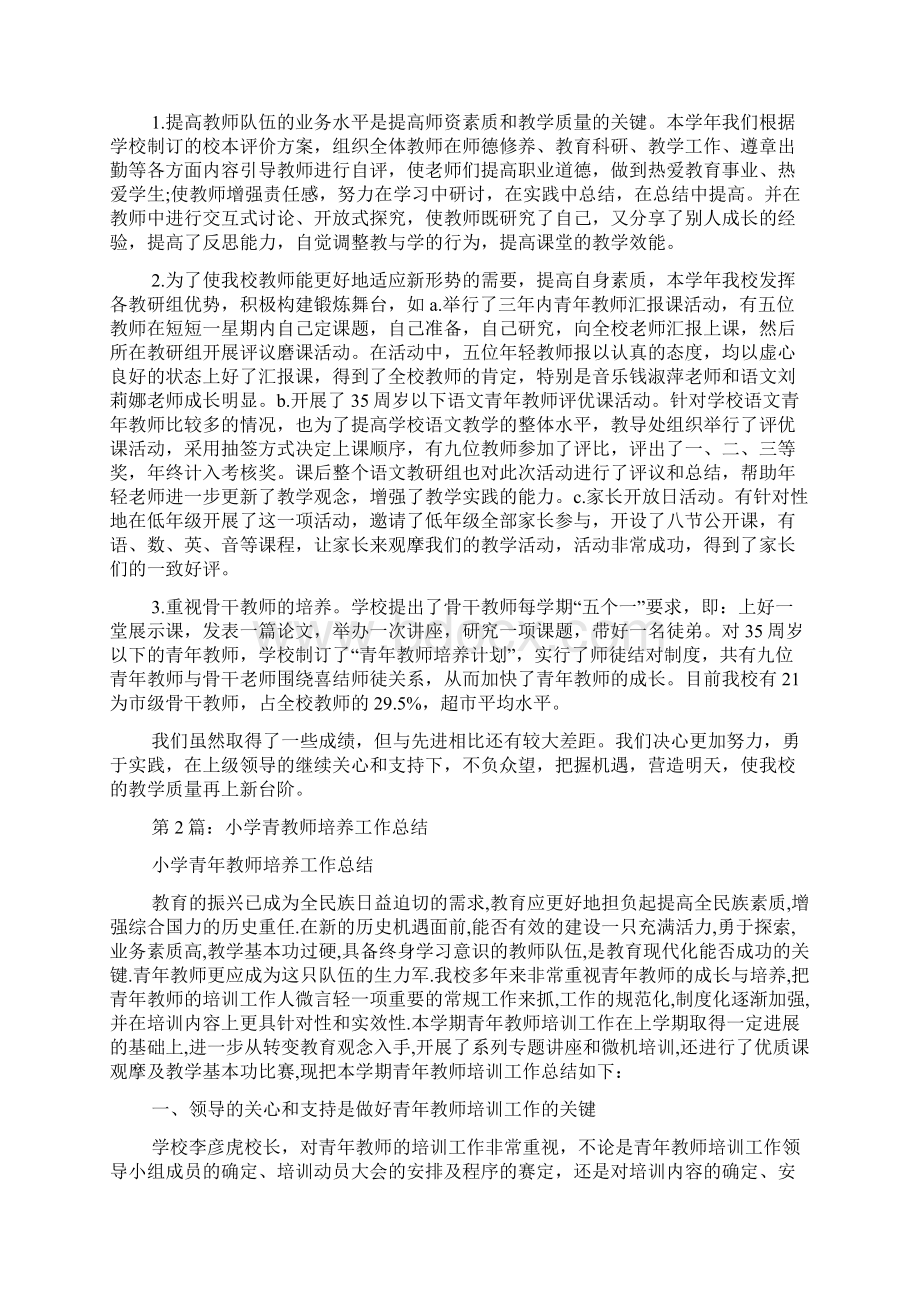 小学培养青年班主任工作总结文档格式.docx_第2页