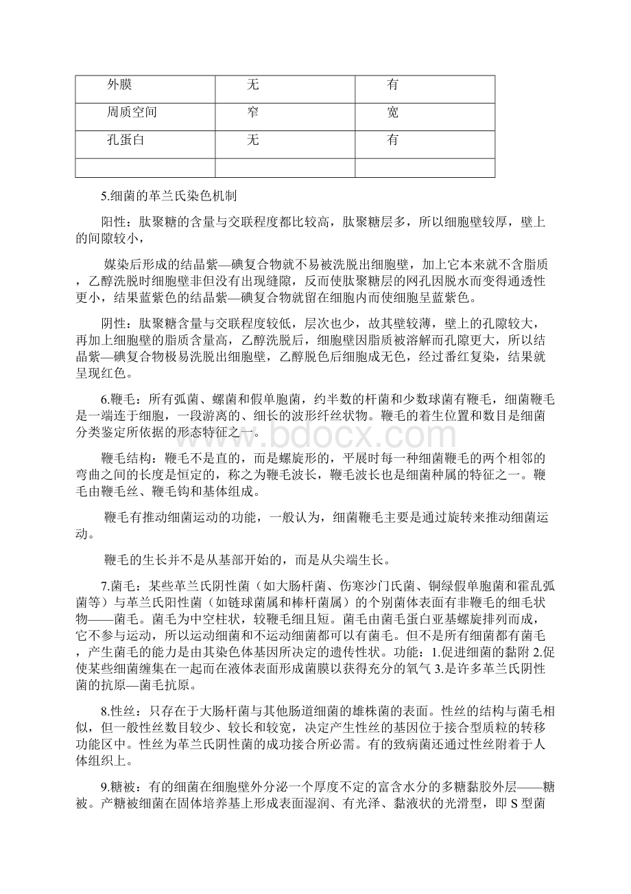 微生物学期末考试知识点.docx_第3页