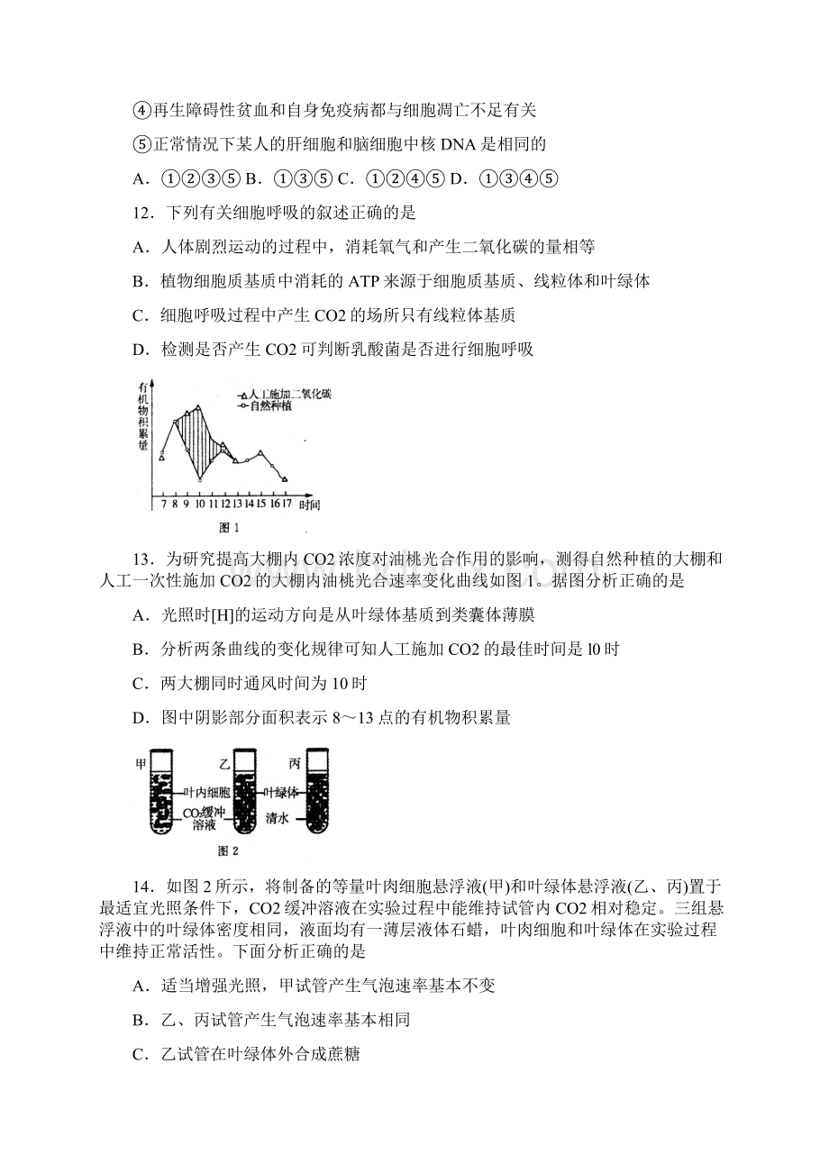 济南一模 山东省济南市届高三上学期期末考试生物试题Word文件下载.docx_第3页