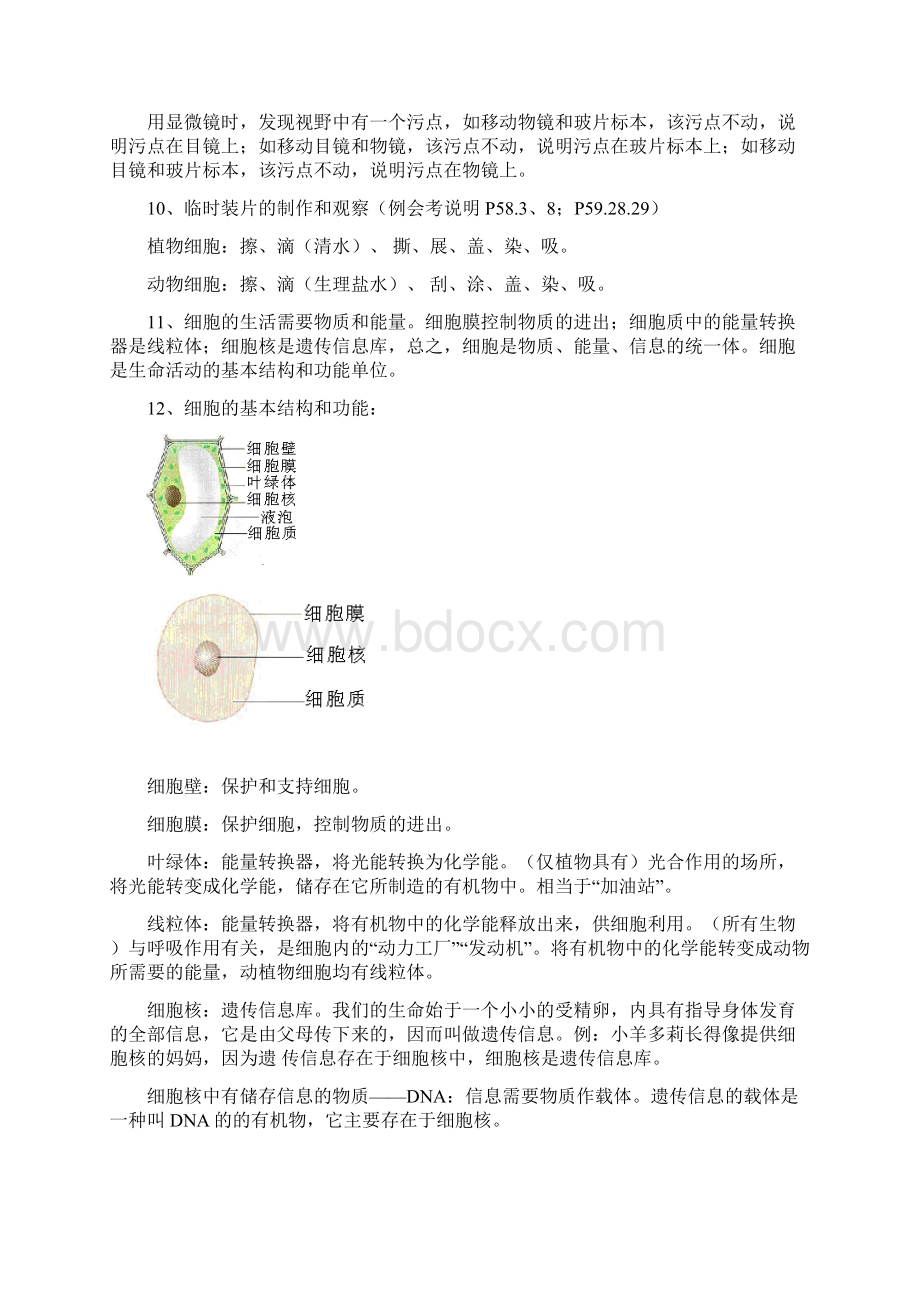 人教版初中生物会考复习提纲打印.docx_第3页