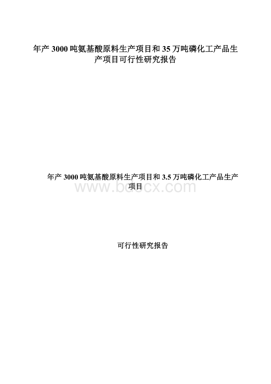 年产3000吨氨基酸原料生产项目和35万吨磷化工产品生产项目可行性研究报告文档格式.docx_第1页