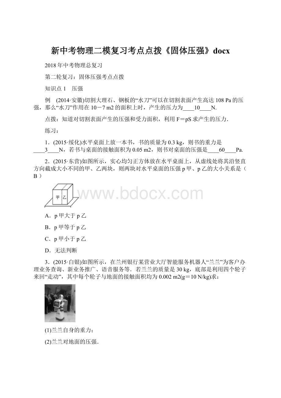 新中考物理二模复习考点点拨《固体压强》docx.docx