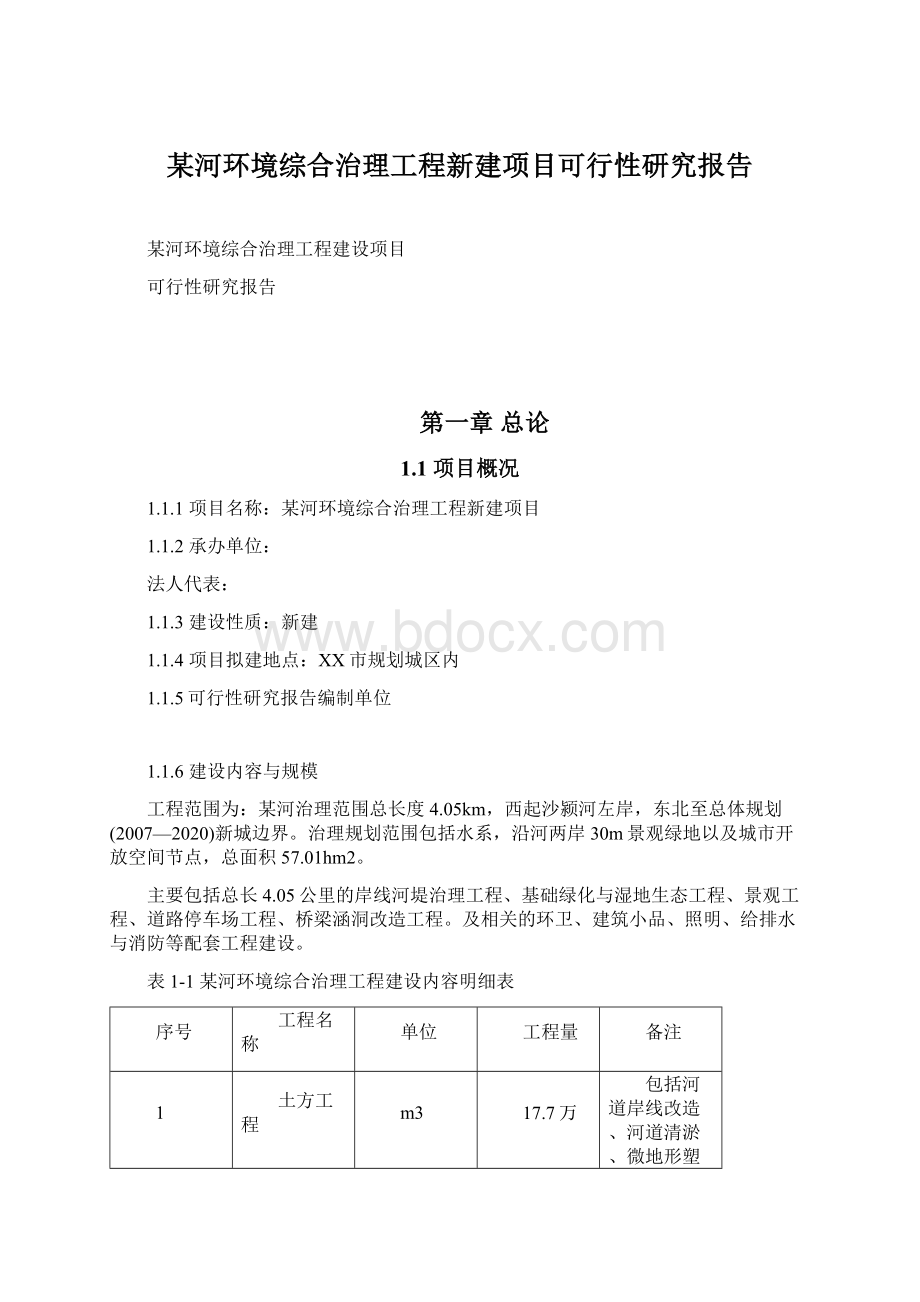 某河环境综合治理工程新建项目可行性研究报告Word格式文档下载.docx