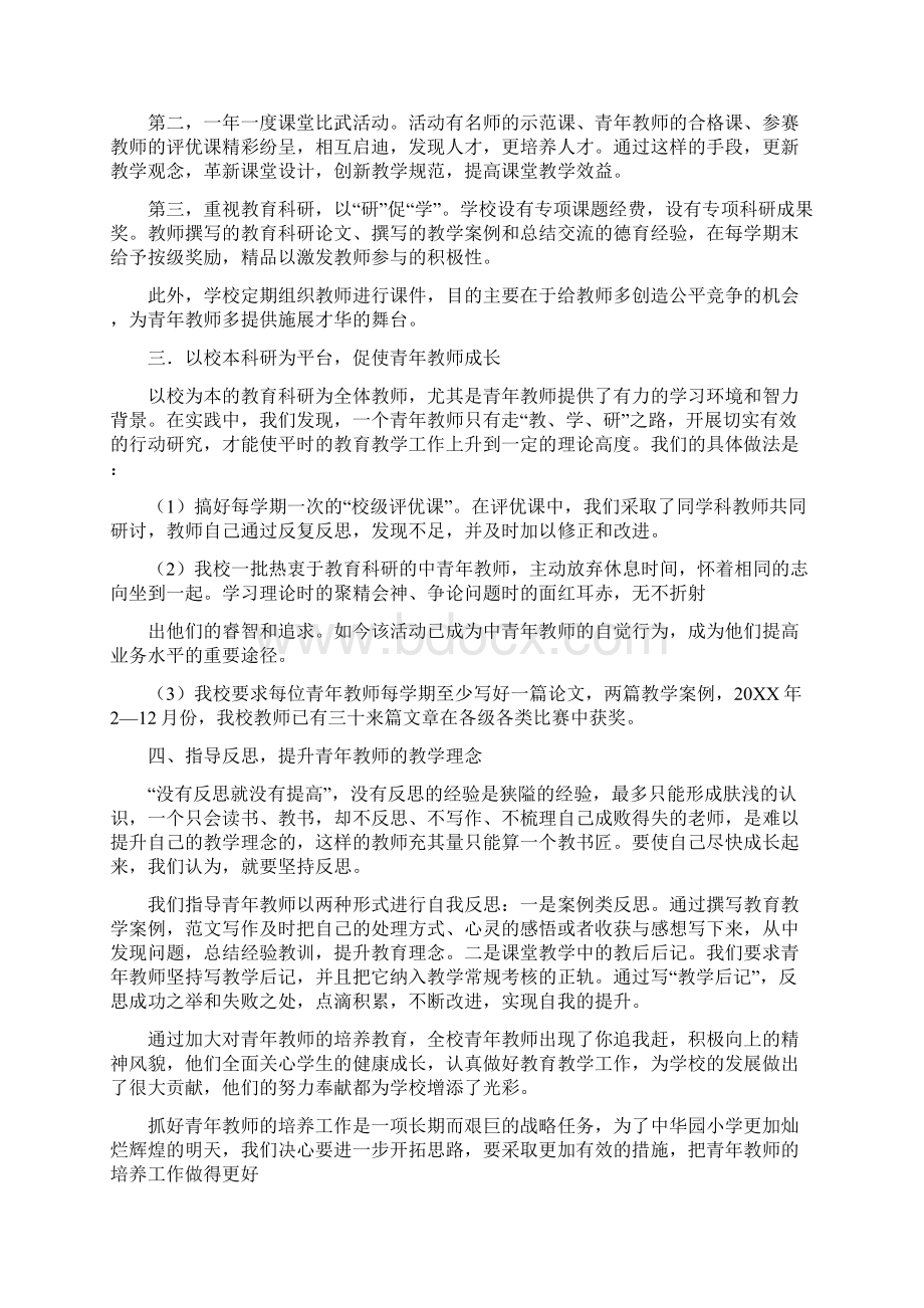 培养新教师总结.docx_第2页