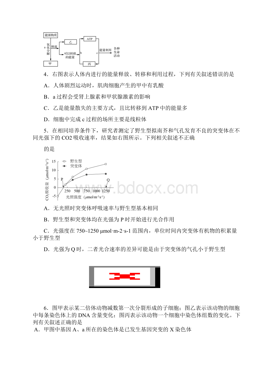 江苏省扬州市届高三下学期生物调研测试试题含答案Word下载.docx_第2页