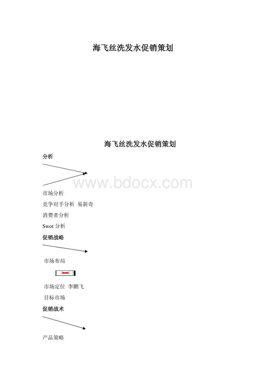 海飞丝洗发水促销策划.docx_第1页