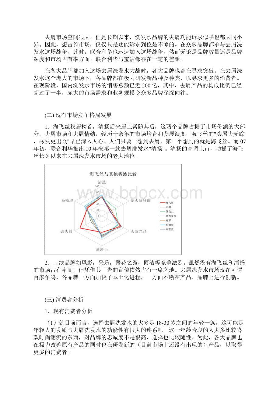 海飞丝洗发水促销策划.docx_第3页