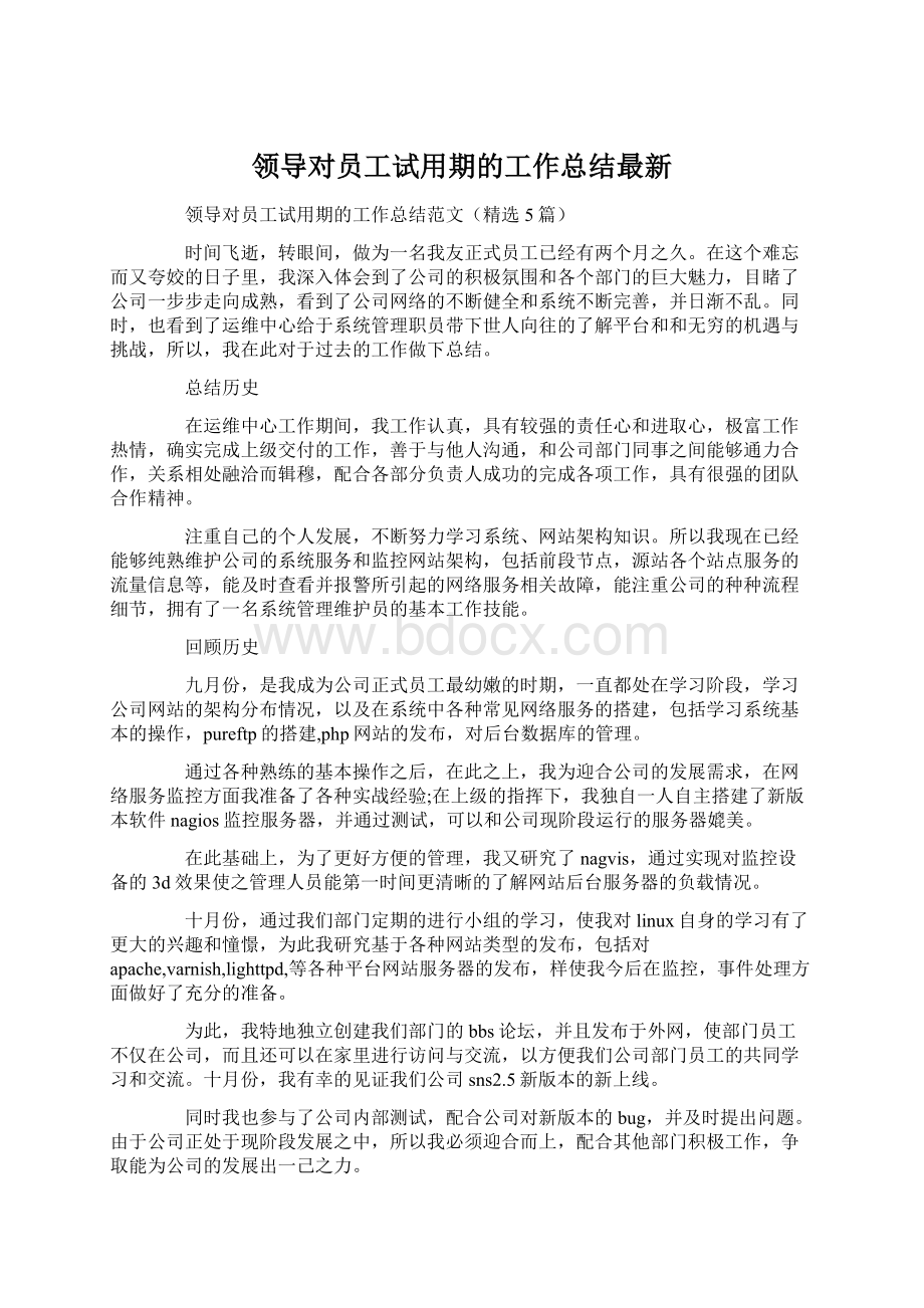 领导对员工试用期的工作总结最新文档格式.docx