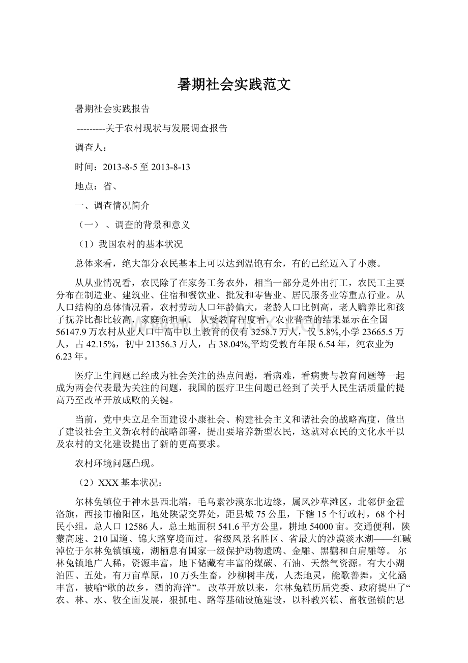 暑期社会实践范文Word格式文档下载.docx_第1页