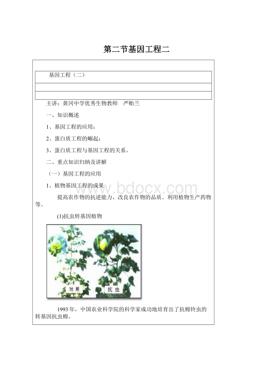 第二节基因工程二文档格式.docx