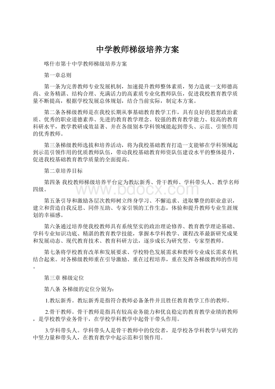 中学教师梯级培养方案.docx